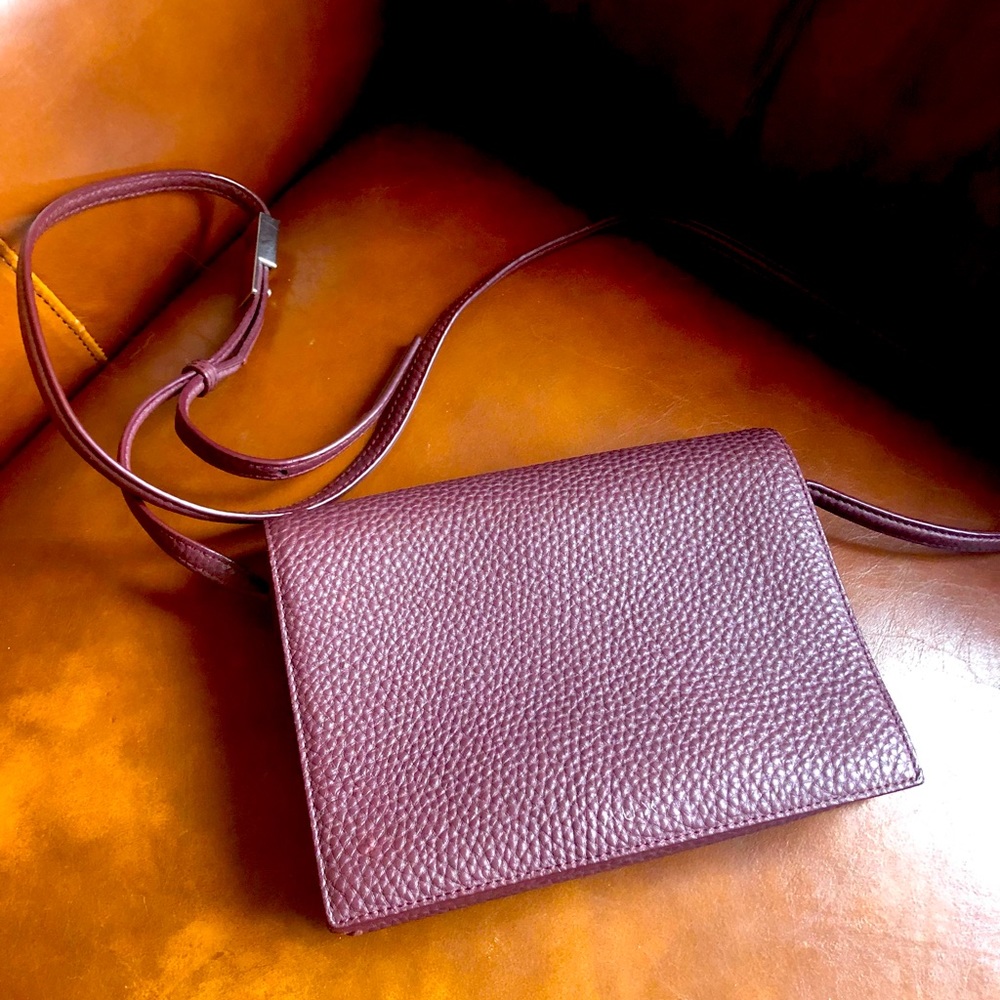 Aritzia Auxiliary Calisch Wine Crossbody